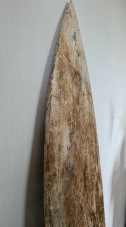 Surfboard Dirty 155cm